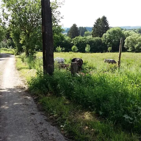 L'amandina - Porcheresse